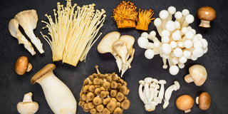 Medicinal Mushrooms