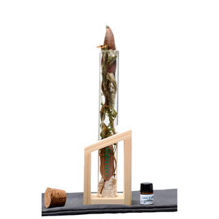 I AM EARTH - Botanical Scent Diffuser