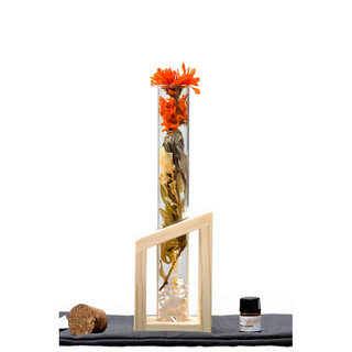 I AM VIBRANT - Botanical Scent Diffuser