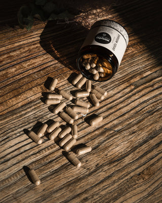 Shroom Squad Capsules