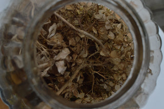 I AM YOGA - Botanical Scent Diffuser